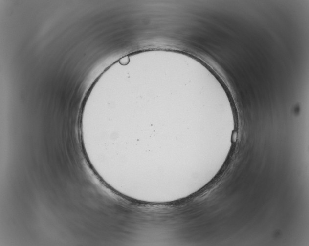 X0000114721293200912021145