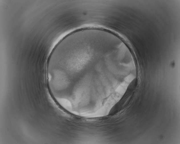 X0000114721295200912021145