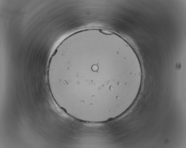 X0000114721296200912021145