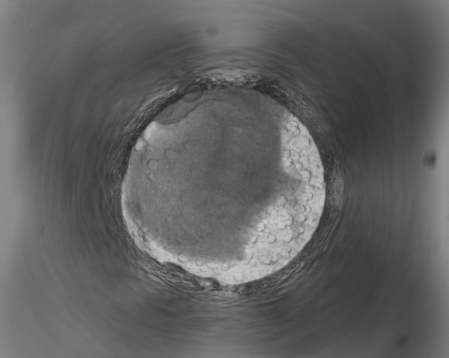 X0000114721297200912021144