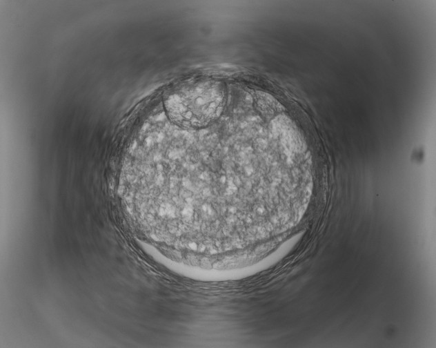 X0000114721301200912021145