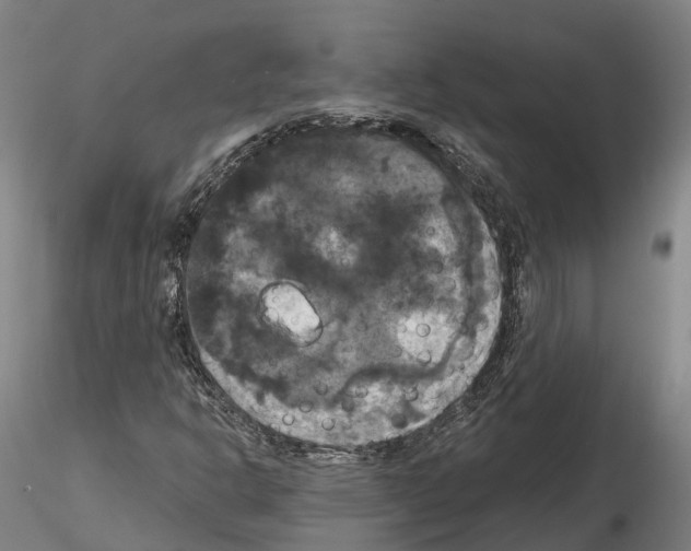 X0000114721302200912021145