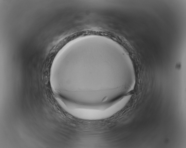 X0000114721303200912021145