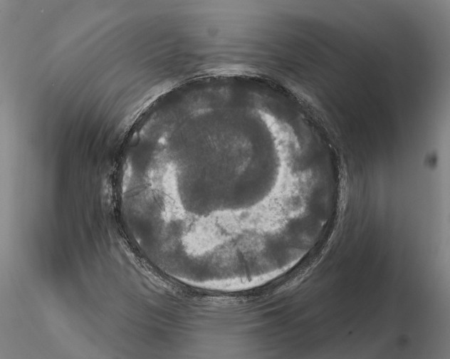 X0000114721305200912021145