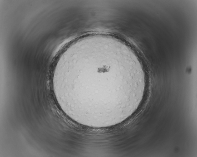 X0000114721307200912021145