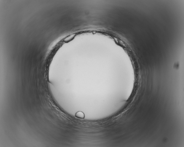 X0000114721310200912021145