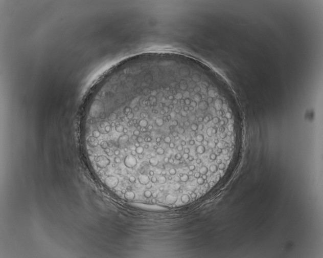 X0000114721311200912021145