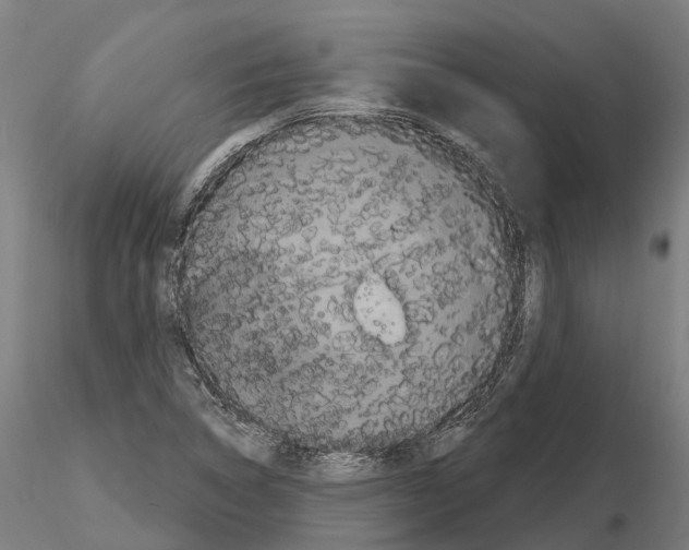 X0000114721314200912021145