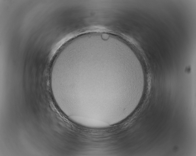 X0000114721318200912021145