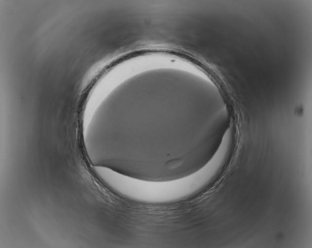 X0000114721319200912021145