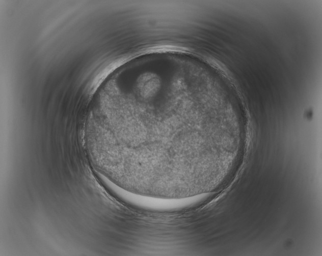 X0000114721321200912021145