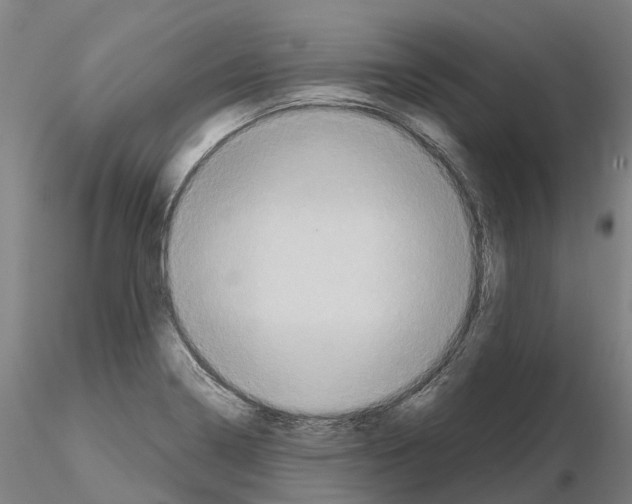 X0000114721322200912021145