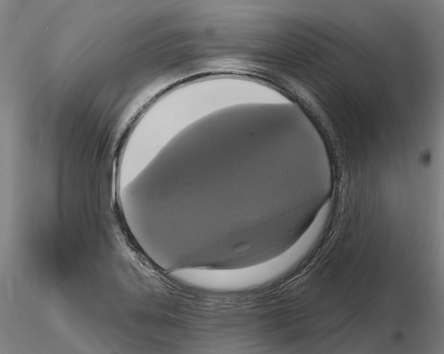 X0000114721323200912021145