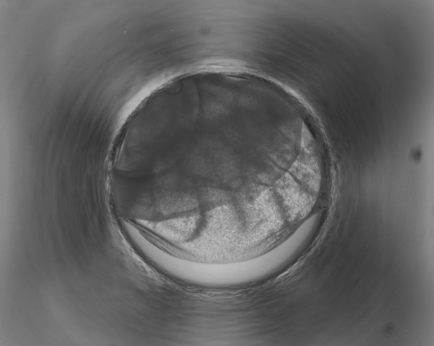 X0000114721325200912021145