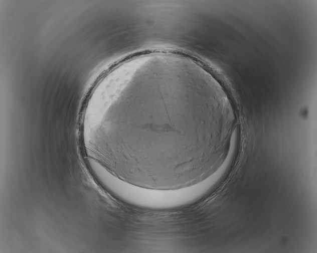 X0000114721327200912021145