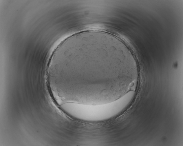 X0000114721331200912021145