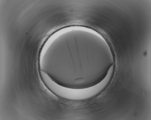 X0000114721334200912021145