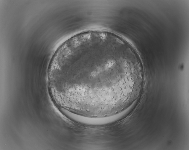 X0000114721335200912021145