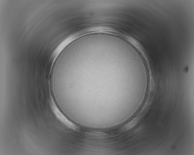 X0000114721338200912021145