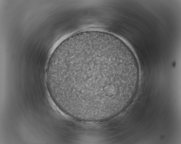 X0000114721341200912021145