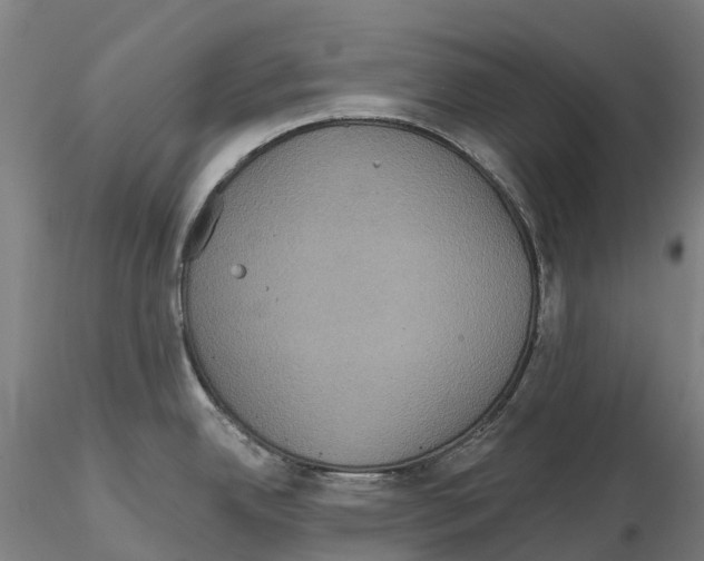 X0000114721342200912021145