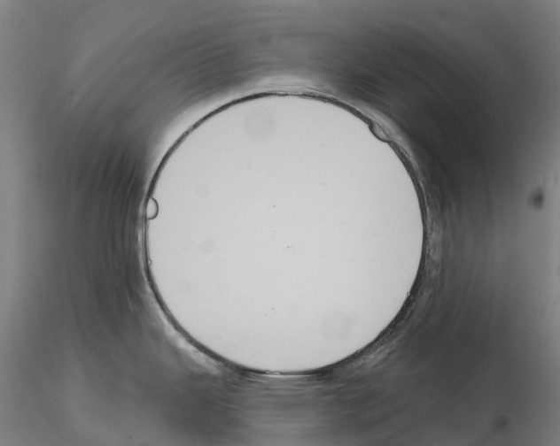 X0000114721343200912021145