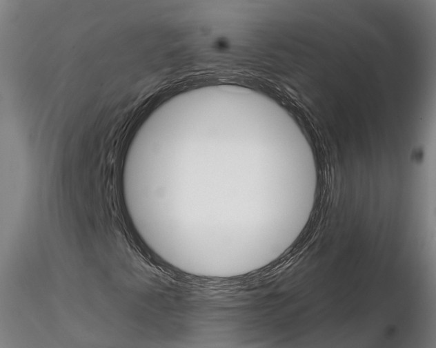 X0000114721345200912021144