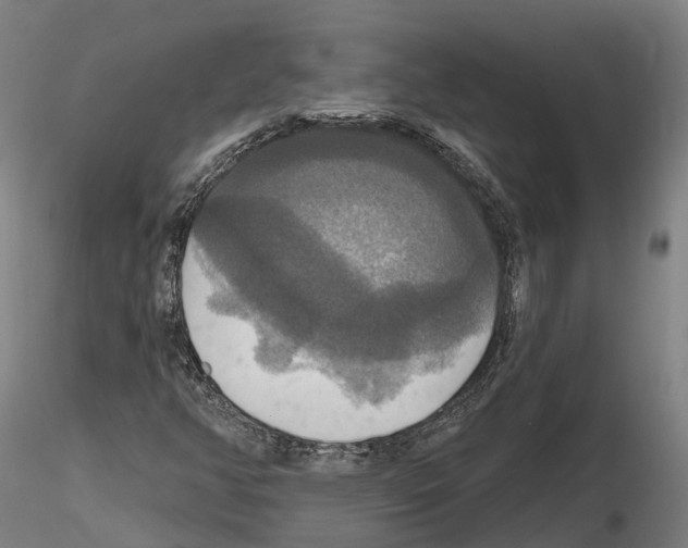 X0000114721350200912021144