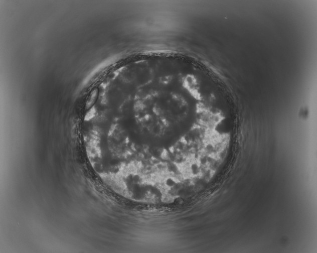 X0000114721351200912021144