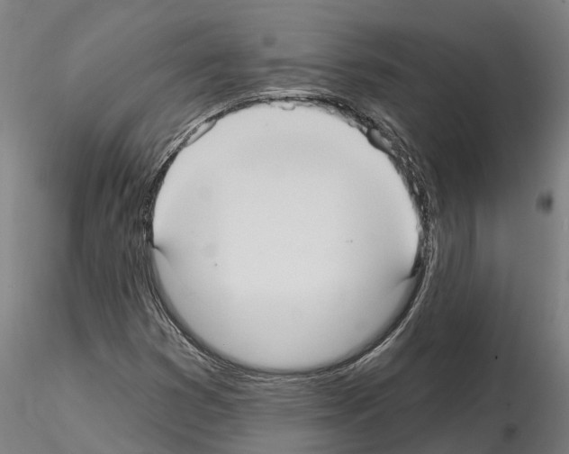 X0000114721353200912021144