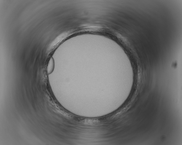 X0000114721354200912021144