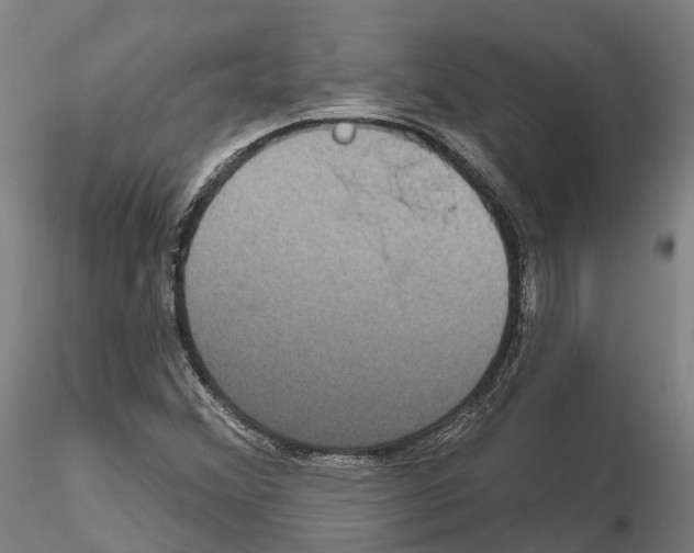 X0000114721356200912021144