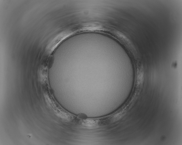 X0000114721361200912021144