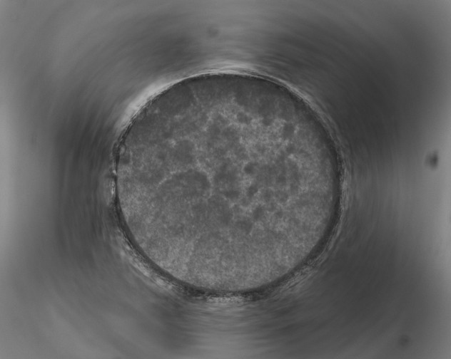 X0000114721363200912021144