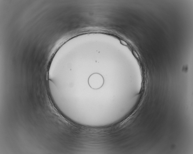 X0000114721365200912021144