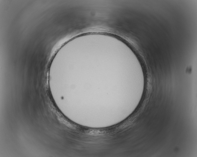 X0000114721366200912021144