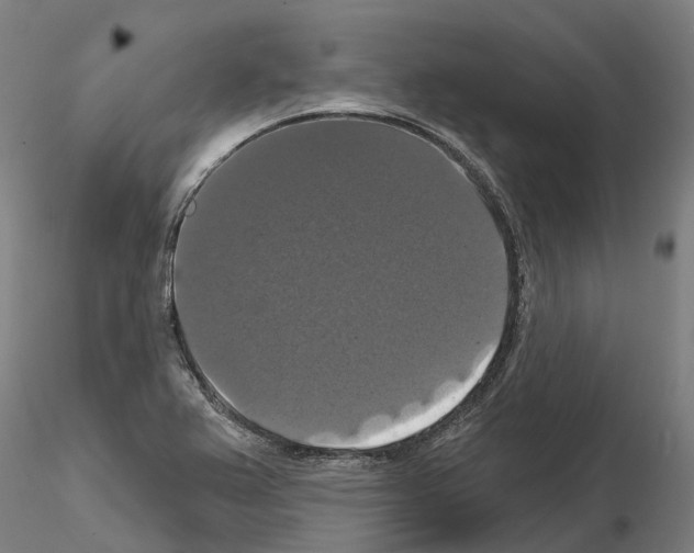 X0000114721367200912021144