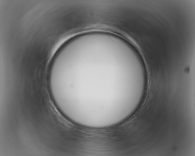 X0000114721368200912021144