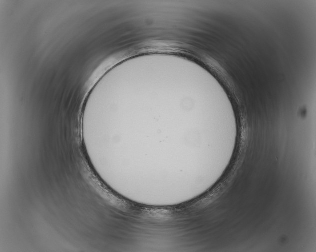 X0000114721370200912021144