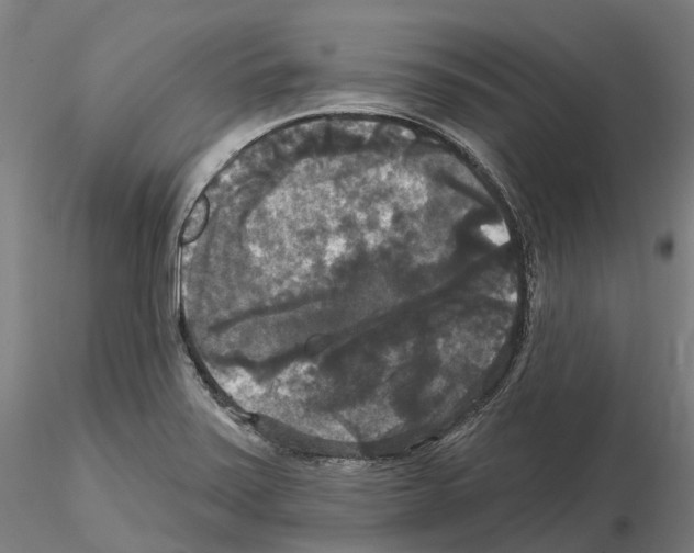 X0000114721371200912021144