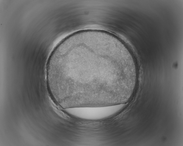 X0000114721372200912021144