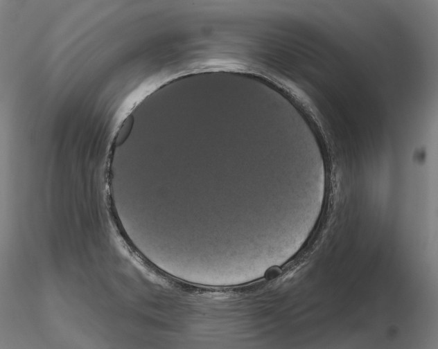 X0000114721373200912021144