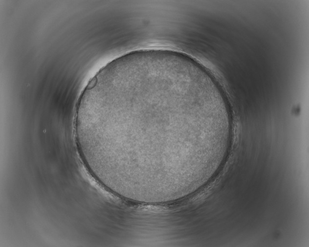 X0000114721374200912021144