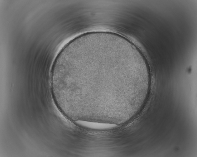 X0000114721380200912021144