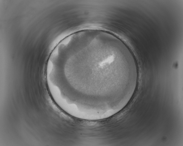 X0000114721382200912021144