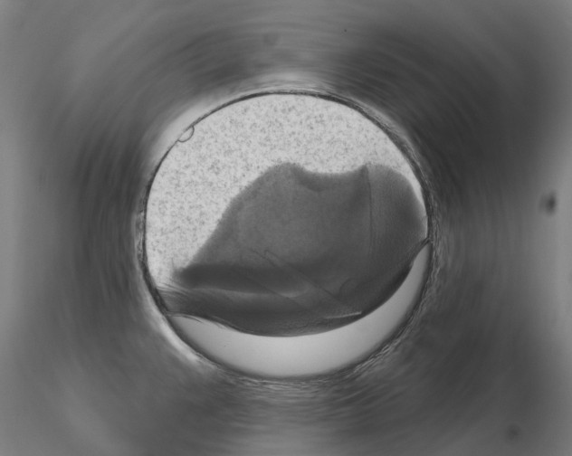 X0000114721383200912021144