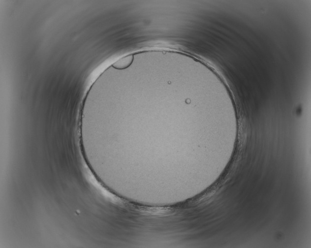 X0000114721387200912021144