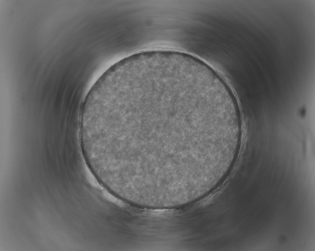 X0000114721390200912021144