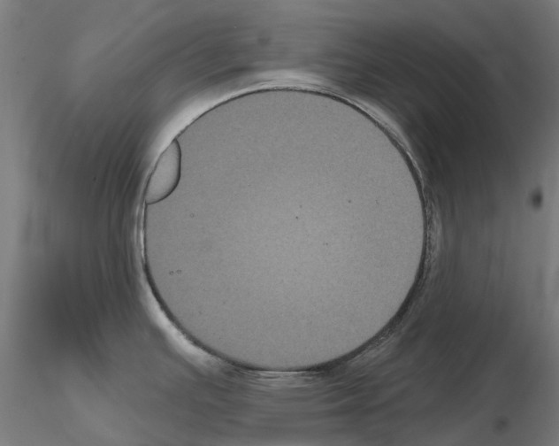 X0000114721391200912021144