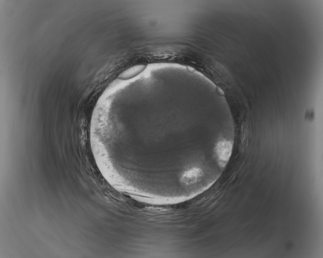 X0000114721394200912021143